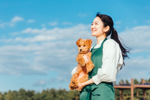 合同会社　藤村本店 ふじむら犬と猫の病院の正社員 医療・介護・福祉 その他求人イメージ